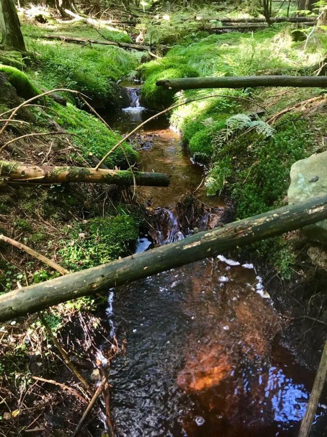 Ferienwohnung Gipfelnest Braunlage Bagian luar foto